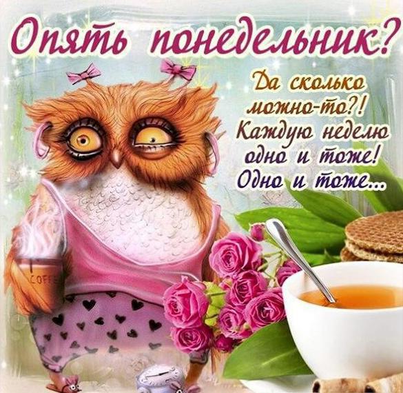 Скачать бесплатно Смешная утренняя картинка опять понедельник на сайте WishesCards.ru