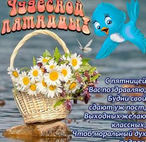Скачать бесплатно Смешная весенняя картинка хорошей пятницы на сайте WishesCards.ru