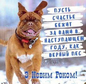 Скачать бесплатно Смешное поздравление с Новым Годом в украинской электронной открытке на сайте WishesCards.ru