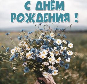 Скачать бесплатно Стильная картинка с днем рождения женщине на сайте WishesCards.ru