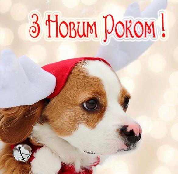 Скачать бесплатно Украинское приветствие с Новым Годом в прикольной открытке на сайте WishesCards.ru