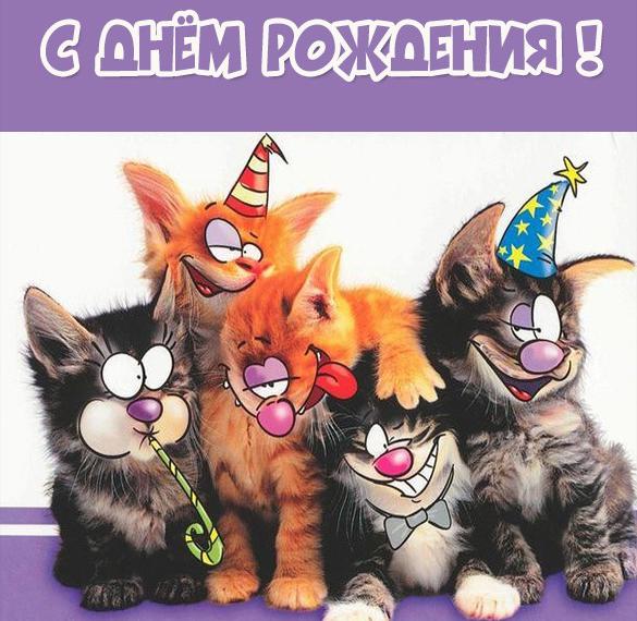 Скачать бесплатно Веселая электронная открытка на день рождения на сайте WishesCards.ru