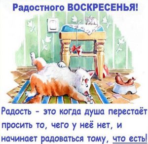 Скачать бесплатно Веселая картинка про воскресенье с надписями на сайте WishesCards.ru