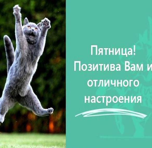 Скачать бесплатно Веселая картинка с пятницей на сайте WishesCards.ru