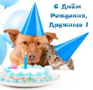 Скачать бесплатно Веселая открытка с днем рождения другу на сайте WishesCards.ru