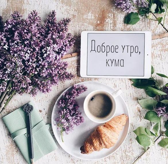 Скачать бесплатно Виртуальная картинка доброе утро кума на сайте WishesCards.ru