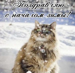 Скачать бесплатно Виртуальная открытка на первый день зимы на сайте WishesCards.ru