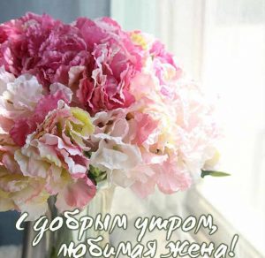 Скачать бесплатно Виртуальная открытка с добрым утром любимая жена на сайте WishesCards.ru