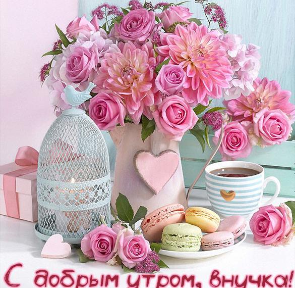 Скачать бесплатно Виртуальная открытка с добрым утром внучке на сайте WishesCards.ru