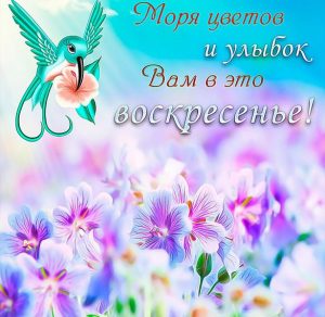 Скачать бесплатно Воскресная открытка в картинке на сайте WishesCards.ru