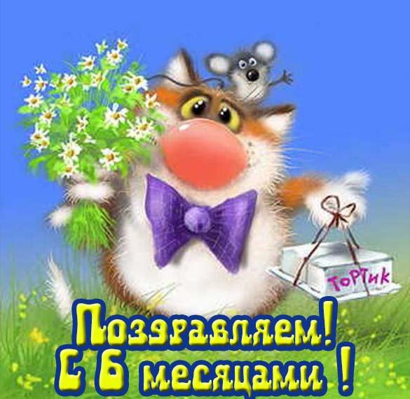 Скачать бесплатно Яркая открытка с 6 месяцами мальчику на сайте WishesCards.ru