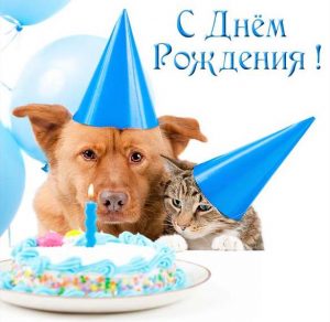 Скачать бесплатно Юморная открытка с днем рождения женщине на сайте WishesCards.ru