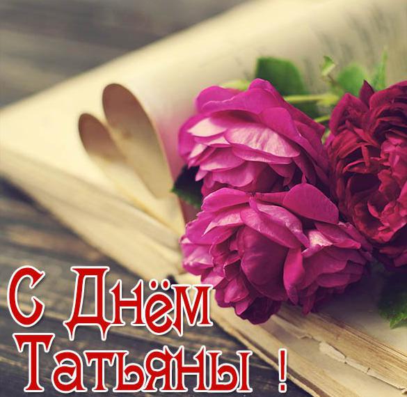 Скачать бесплатно Замечательная бесплатная электронная открытка с днем Татьяны на сайте WishesCards.ru
