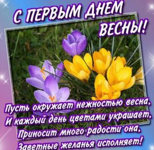 Скачать бесплатно Замечательная картинка с первым днем весны на сайте WishesCards.ru