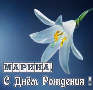 Скачать бесплатно Замечательная открытка с днем рождения Марина на сайте WishesCards.ru