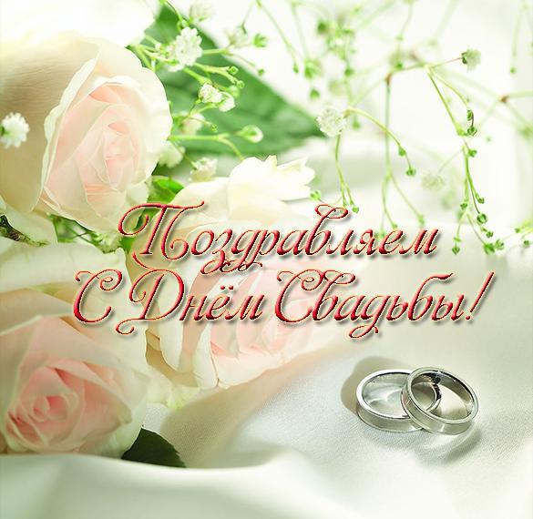 Скачать бесплатно Замечательная поздравительная картинка с днем свадьбы на сайте WishesCards.ru