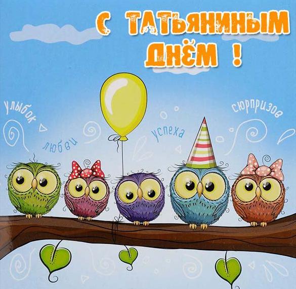 Скачать бесплатно Замечательная прикольная открытка Татьянин день на сайте WishesCards.ru