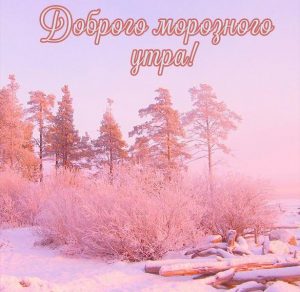 Скачать бесплатно Зимняя картинка доброго морозного утра красивая на сайте WishesCards.ru